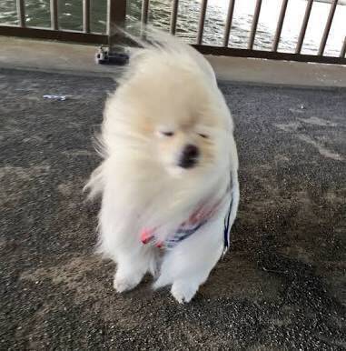 no title