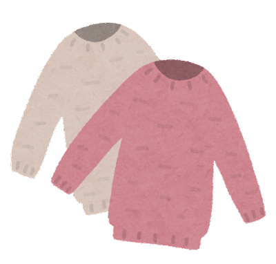 fashion_sweater_set.png