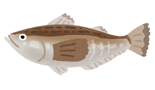 fish_hatahata.png