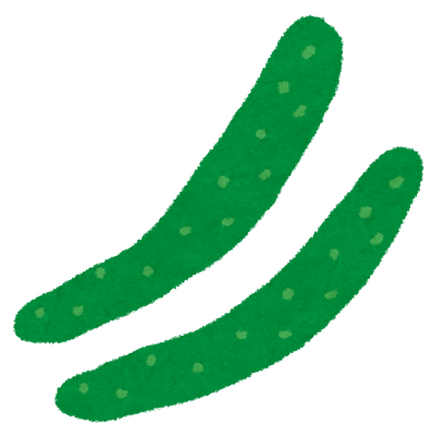 kyuuri_cucumber.png